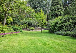 Optimiser l'expérience du jardin à Cramenil