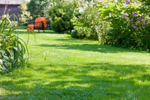 travaux jardin et paysage Cramenil